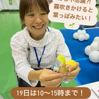 画像1011