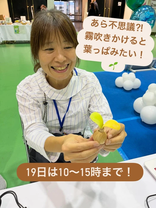 画像1011