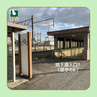 画像1238
