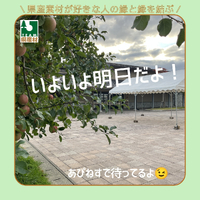 画像1239