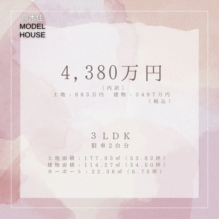 画像284