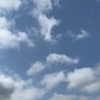 画像334