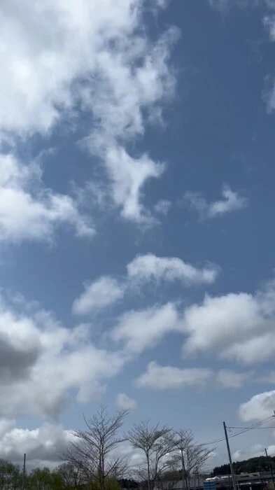 画像334
