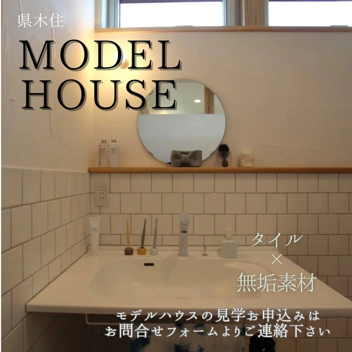画像501