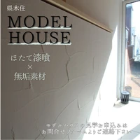 画像528