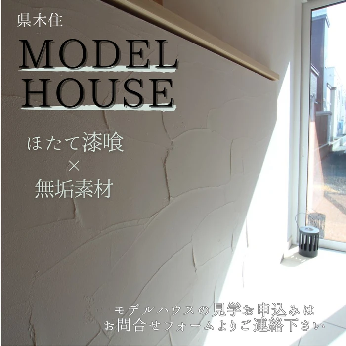 画像528