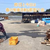 画像815